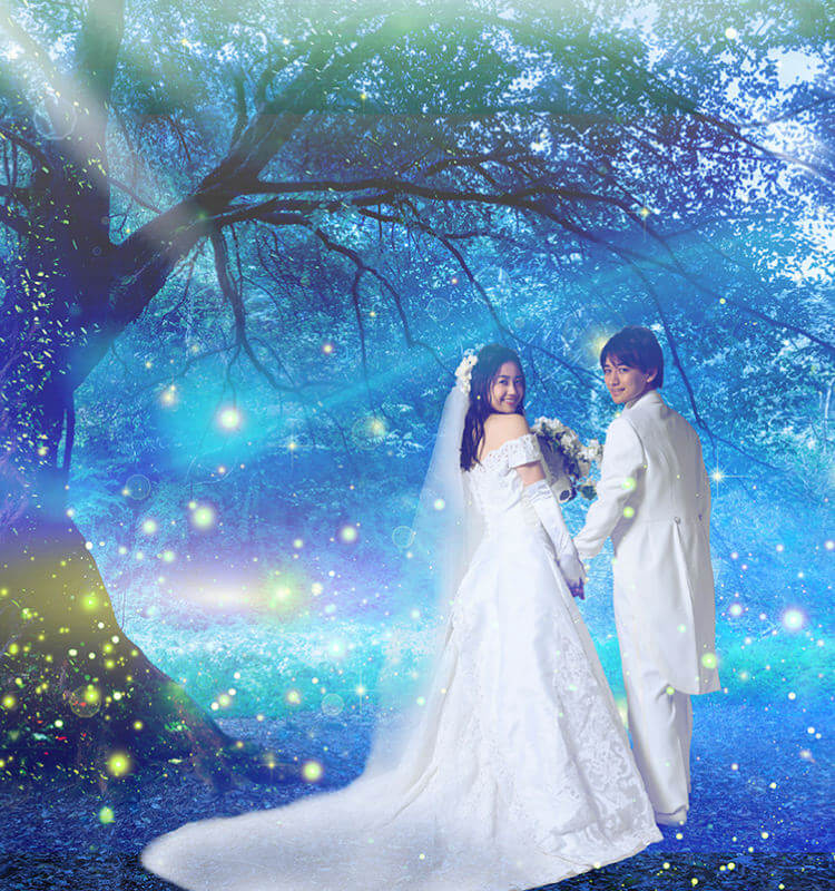 FAVIO ART PHOTO WEDDING
