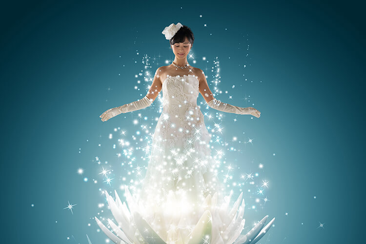フォトギャラリー