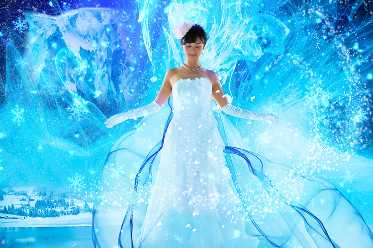 フォトギャラリー